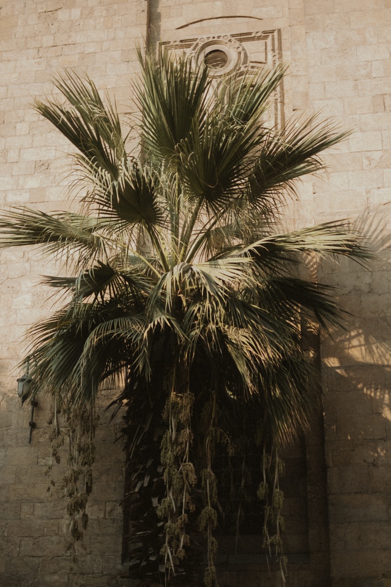 egipto 2026 — 67