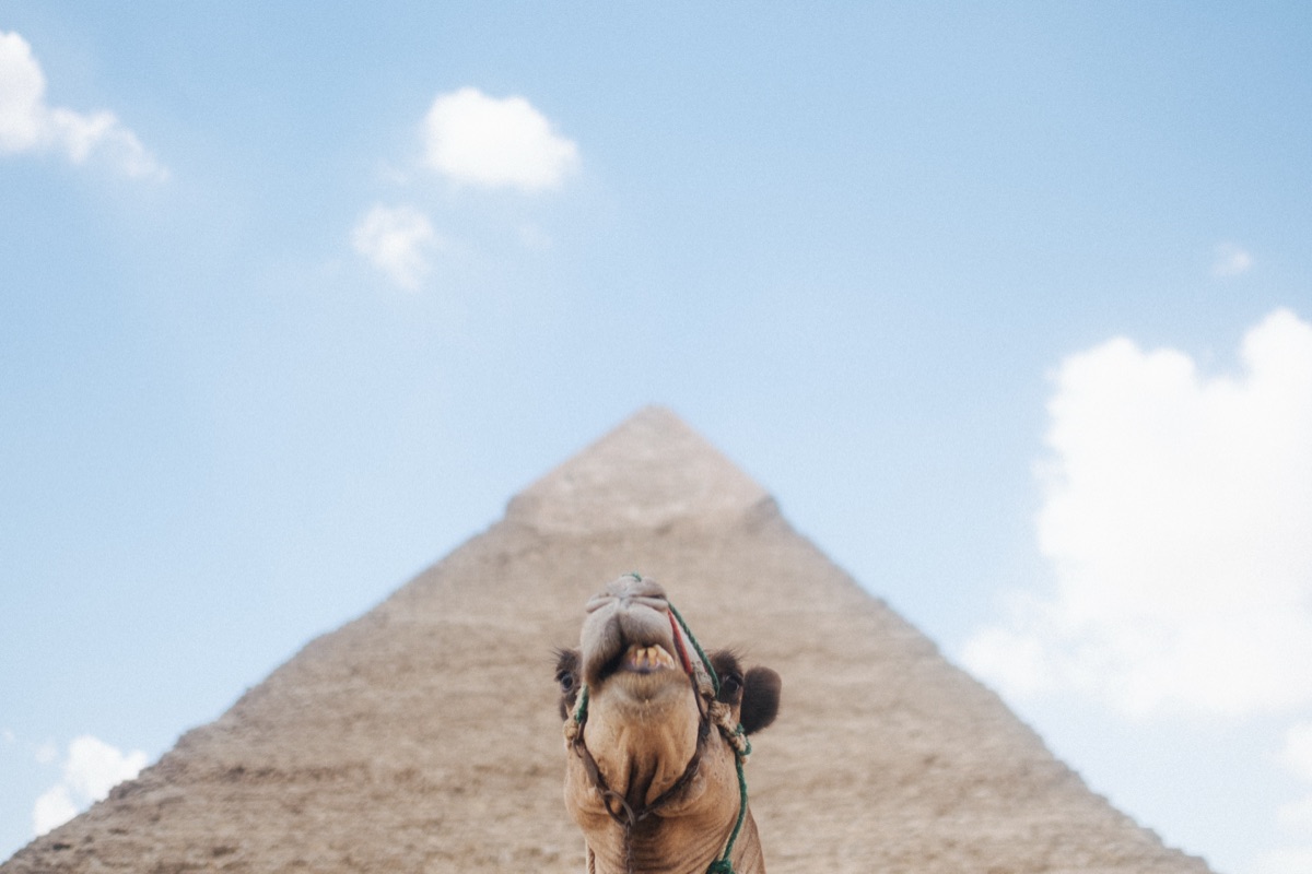 egipto 2026 — 72